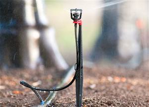 Set de pinchos <span class=keywords><strong>para</strong></span> microrriego y sistema de <span class=keywords><strong>riego</strong></span> por goteo - Product Image 6