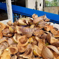 Machine de fibre de coco de qualité supérieure à bas prix haute capacité