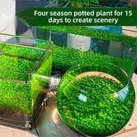 Graines de plantes aquatiques écologiques 1L, substrat sans lavage pour aquarium, hydroponie de bureau, micro-paysage en pot, décoration