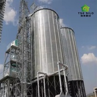 Silo à fond trémie en acier galvanisé de 50 à 2000 tonnes à déchargement automatique pour stockage de céréales pour moulin à aliments et ferme