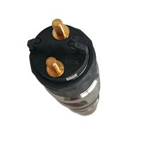 Injecteur de carburant d'origine WeiChai Boduan 331005001218 Neuf pour moteur de camion M2 – Grandes quantités en stock