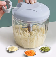 Multifunctionele roestvrijstalen knoflook- en uienhakker, mini-processor, PP plastic, handmatig, vaatwasserbestendig, voor fruit en groenten