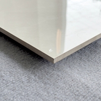 Carreaux de porcelaine modernes 60x60 gris clair poli effet marbre veiné brillant pour sol
