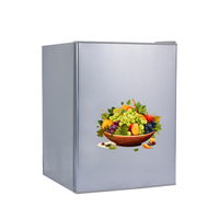 Réfrigérateur à porte unique de haute qualité en Chine 70 litres réfrigérateur extérieur à énergie solaire 12 CC hors réseau