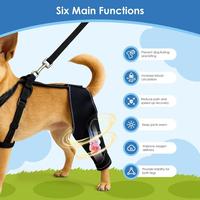 Attelle de genou ACL réglable pour chien avec stabilisateurs latéraux métalliques, support pour pattes arrière, protection et soin des articulations canines