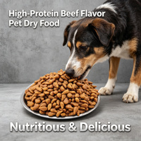 Aliments secs pour chats et chiens à haute teneur en protéines de bœuf, marque privée OEM ODM, avec formules fonctionnelles personnalisées en option, 28 % de protéines brutes