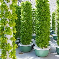 Tour hydroponique verticale à 5-12 niveaux pour légumes et fleurs, système d'aéroponie avec éclairage de croissance