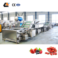 Commerciële olijfstengelverwijderaar, fruit sorteerder, cherry tomaten grader, spray bubbelwasser, automatische fruitwaslijn