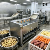Automatische machine voor het polijsten, reinigen, wassen en schillen van groenten (cassave, aardappel, wortel, gember) met een hoog veiligheidsniveau en detectie van onzuiverheden.