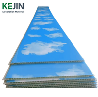 Panneau de plafond en plastique PVC brillant pour la décoration Lambri Plafon Cielo Raso Pvc En Chine Panneau de plafond pour la maison