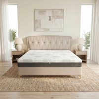 Colchón Híbrido Popular de Espuma Viscoelástica y Muelles Ensacados de 10 Pulgadas, Diseño Moderno para Dormitorios, Calidad de Hotel 5 Estrellas, Venta al por Mayor de Fábrica