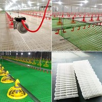 Nouveau plancher à lattes en plastique PP blanc durable pour cages automatiques de poulets de chair