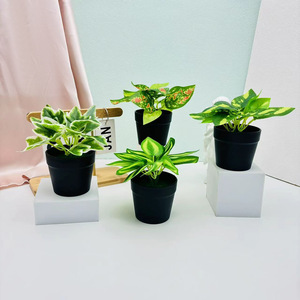 Planta Artificial en Maceta Verde de 16 cm, Decoración Interior de Plástico y Seda, Mini Adorno para Oficina, Balcón o Dormitorio - Product Image 2