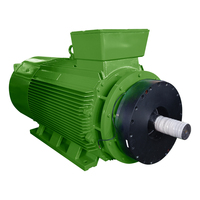 Motor Trifásico de Alta Tensión CA Y2-4004-6 315KW 6KV IP55 IC411 987rpm