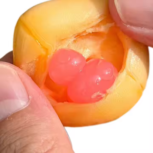 Halal <span class=keywords><strong>Candy</strong></span> Jam Relleno <span class=keywords><strong>Gummy</strong></span> Personalización Embalaje 4D Ovíparo Dulces en forma de huevo Soft <span class=keywords><strong>Gummy</strong></span> <span class=keywords><strong>Candy</strong></span> al por mayor - Product Image 2