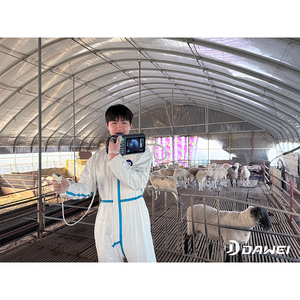 Outil de diagnostic vétérinaire LED Dawei de 5,6 pouces, appareil d'échographie vétérinaire portable léger pour les tests de gestation en élevage - Product Image 2