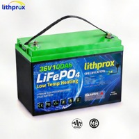 Batería de Ciclo Profundo LiFePO4 36V 100AH Grado A, Almacenamiento Compacto para el Hogar, RS485, BMS Inteligente, Terminal M8, Más de 6000 Ciclos, CE, RoHS, IP67, OEM, ODM