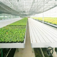Meja Tanam Hidroponik Sistem Ebb and Flow, Baja Galvanis Modern, Besar, Dapat Dipindahkan, Tugas Berat, Beroda