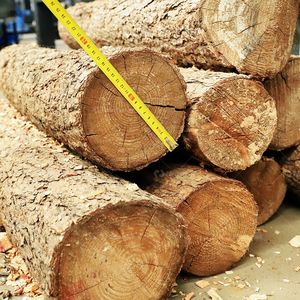 Nouveau style populaire broyeur à marteaux en bois/broyeur de copeaux de bois/moulin de rasage de la biomasse avec des prix bon marché - Product Image 6