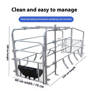 Yeni MUFA modeli 001 tipi sıcak galvanizli çelik Sow gebelik kafes domuz çiftlik Sow farfarverimli ayırma için 1 yıl garanti - Product Image 4