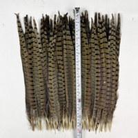 Plumes de faisan collier naturelles tachetées pour la confection de mouches, nymphes, mouches sèches, leurres artificiels pour la pêche à la truite et au saumon