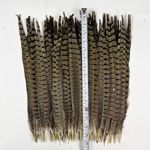 Plumes de <span class=keywords><strong>faisan</strong></span> collier naturelles tachetées pour la confection de mouches, nymphes, mouches sèches, leurres artificiels pour la pêche à la truite et au saumon - Product Image 2