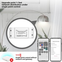 Interruptor Temporizador Inteligente con Control Remoto para Aplicaciones, con 2 Años de Garantía, Certificado CE ROHS para Hogar Inteligente, CA 90-250V, PC/Cobre