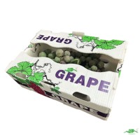 Boîte en plastique ondulé PP pour l'emballage des fruits et légumes frais, conteneur en carton empilable