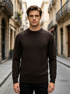 Pull en laine mélangée <span class=keywords><strong>de</strong></span> haute qualité pour homme <span class=keywords><strong>Morgan</strong></span>, à manches longues, pour le printemps et l'automne, style décontracté, logo personnalisé OEM et ODM - Product Image 2