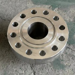 Brida de Acero Inoxidable Forjada de Alta Presión con Superficie de Sellado Elevada para la Industria Química - Product Image 1