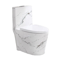 Cuvette de toilette siphonique en céramique monobloc de couleur marbre moderne avec WC à drainage en S