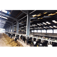 Équipement d'élevage pour élevage avicole, cages à poulets portables/conception de bâtiments pour fermes de vaches/moutons/porcs