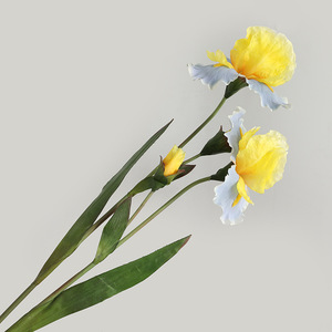 Iris Artificial de Seda Plástica Teñida con Tinta ZHOUDI, Mezcla de Seda, para Decoración del Hogar y Bodas - Product Image 4