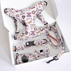 Accesorios Premium para mascotas, arnés encantador para cachorros, collares ajustables para perros, Correa con logotipo de goma a juego, bandana para mascotas, pajarita y bolsa para caca - Product Image 1
