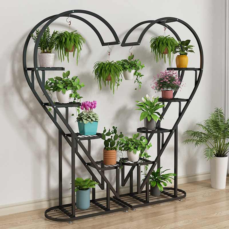 black snake plants Black Coral Snake Plant