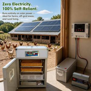 Incubateur solaire pour 176 œufs de <span class=keywords><strong>paon</strong></span> et de perroquet, facile à utiliser, de bonne qualité et pratique - Product Image 5