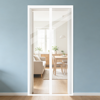 Rideau magnétique transparent en EVA en gros, rideau de porte pour climatiseur, rideau moustiquaire pour portes et fenêtres de chambre