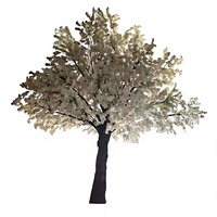 Pohon Bunga Sakura Putih Buatan Modern Mewah Ramah Lingkungan Tinggi 600cm Sentuhan Alami Realistis dari Fiberglass
