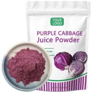 OEM Private Label Natürliches Rotkohl pulver Lila Kohl Extrakt Pulver