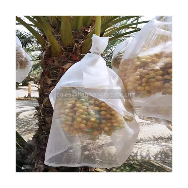 Plastic Datum Plam Netje Netto Zak Voor Datum Palm Fruit Bescherming Tegen Stof Pest En Vogel, witte En Zwarte Kleur Oem Accepteren