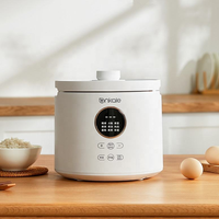 Appareils de cuisine Pot intérieur en acier inoxydable Mini cuiseurs à riz de 2 litres pour une cuisson rapide du riz.