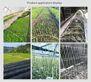 מכירה חמה 7 מ "מ 8 מ" מ 9 מ "מ 10 מ" מ מוט פיברגלס מוצק מוט דיג - Product Image 4