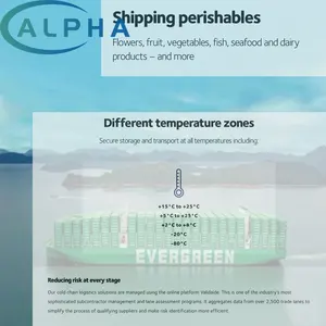 <strong>Ocean</strong> Service EXW FCA FOB DDP DAP FBA From China <strong>to</strong> Finland <strong>Helsinki</strong> by Sea Shipping Warehousing Insurance Delivery - Product Image 3