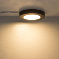 Mıknatıslı Yüzey Montajlı Deniz Kabini Lambası 12V Yat Tekne LED İç Tavan Lambası