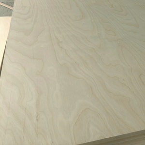 4X12 3mm 6mm 18mm <span class=keywords><strong>3</strong></span> <span class=keywords><strong>4</strong></span> Contreplaqué 4x8 Pakistan Marine <span class=keywords><strong>Prix</strong></span> Bouleau Peuplier Eucalyptus Contreplaqué 18mm Feuilles - Product Image 6