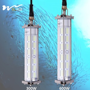 Đèn câu cá nước sâu 12V 24V 300W 600W có thể điều chỉnh độ sáng, dùng để câu mực, cá mú, cá lóc trong biển - Product Image 1