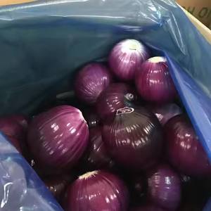 सर्वश्रेष्ठ ग्रेड जमे हुए iqf लाल स्केलियन प्याज थोक जैविक स्वास्थ्य प्राकृतिक पोषण थोक मूल्य - Product Image 5