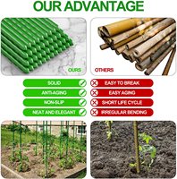 Nouveau Design Support de Plante en Plastique et Métal, Tuteur de Jardin de 11 mm pour la Croissance des Plantes Grimpantes