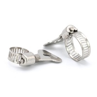 Colliers de serrage à vis sans fin réglables en acier inoxydable avec poignée en plastique de type clé, finition zinc, personnalisables, OEM, pour tuyaux métriques