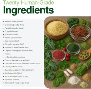 Suplemento <span class=keywords><strong>de</strong></span> Alimentos Superiores para <span class=keywords><strong>Perros</strong></span>, Polvo <span class=keywords><strong>de</strong></span> Vegetales para la Salud Dental, Longevidad, Articulaciones, Intestino, Alergias, Inmunidad, Piel y Pelaje - Product Image 3